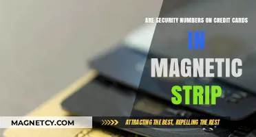 Decoding the Myth: Are Security Numbers Truly Hidden in Credit Card Magnetic Strips?