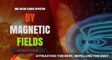 Unveiling the Connection: Solar Flares and Magnetic Fields