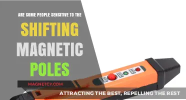 Exploring the Impact of Magnetic Pole Shifts on Human Sensitivity