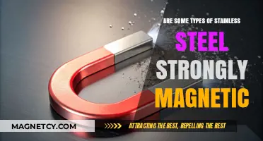 Exploring Magnetic Properties: Not All Stainless Steels Are Created Equal