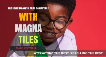 Exploring Compatibility: Soyee Magnetic Tiles and Magna-Tiles Connection