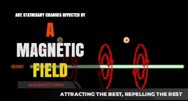 Exploring the Interaction: Stationary Charges and Magnetic Fields