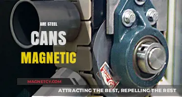 Are Steel Cans Magnetic? Unveiling the Truth Behind Metal Recycling