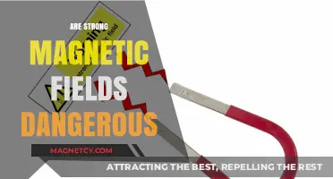 Unveiling the Truth: Are Strong Magnetic Fields Dangerous?