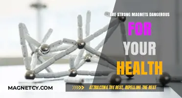 Exploring the Health Risks of Strong Magnets: A Comprehensive Guide