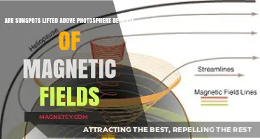 Elevated Sunspots: The Magnetic Field's Role in Photosphere Dynamics