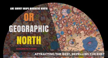 Navigating the North: Survey Maps and the Quest for True Direction