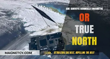 Exploring the Compass of Opinions: Are Surveys Magnetic or True North?