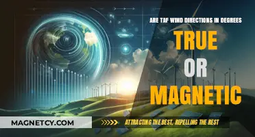 Decoding Wind Directions: True vs. Magnetic in Aviation