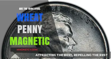 Exploring the Magnetic Properties of 1944 Steel Wheat Pennies