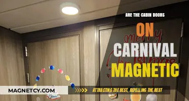 Exploring Carnival Cruise Ship Cabin Doors: Are They Magnetic?