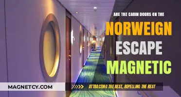 Exploring the Magnetic Mystery of Norwegian Escape's Cabin Doors