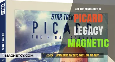 Exploring the Magnetic Mystery of Picard Legacy Combadges