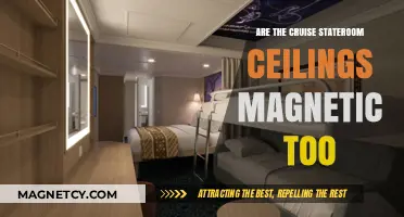 Unveiling the Mystery: Are Cruise Staterooms' Ceilings Magnetic?