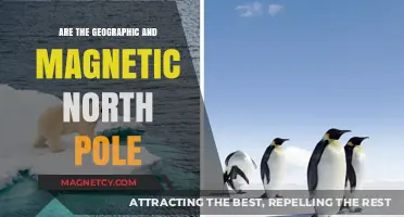 Exploring Earth's Dual North Poles: Geographic vs. Magnetic
