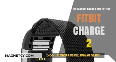 Exploring Magnet Bands for Fitbit Charge 2: A Comprehensive Review