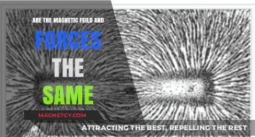 Exploring the Intricacies: Magnetic Fields vs. Forces