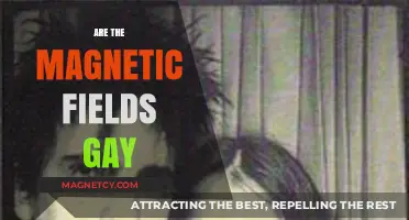 Exploring the Intersection of Science and Identity: Are Magnetic Fields Gay?
