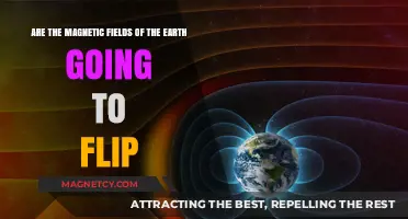 Earth's Magnetic Flip: What You Need to Know