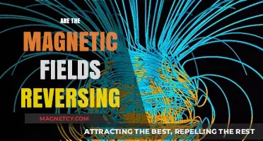 Exploring the Enigma: Earth's Magnetic Fields on the Brink of Reversal
