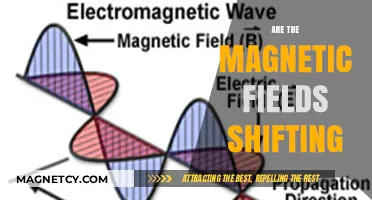 Exploring the Dynamics of Earth's Magnetic Field Shifts