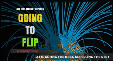 Earth's Magnetic Poles: The Impending Flip and Its Global Impact