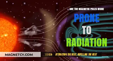 Exploring the Radiation Risks at Earth's Magnetic Poles