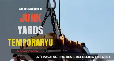 Exploring the Ephemeral Nature of Junk Yard Magnets