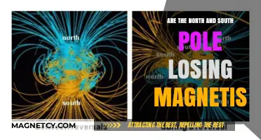 Shifting Poles: The Intriguing Decline of Earth's Magnetic Strength