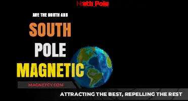 Exploring Earth's Magnetic Poles: A Journey to the North and South