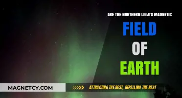 Unveiling the Mystery: Earth's Magnetic Field and the Northern Lights