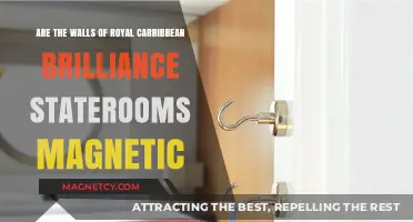 Exploring the Magnetic Walls of Royal Caribbean's Brilliance Staterooms