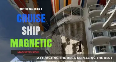 Exploring the Magnetic Mysteries of Cruise Ship Walls