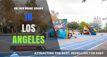 Exploring Magnet Schools in Los Angeles: A Comprehensive Guide