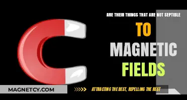 Exploring the Invisibles: What's Immune to Magnetic Fields?