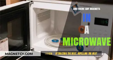 The Hidden Dangers: Why You Should Never Put Magnets in a Microwave
