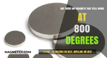 Exploring High-Temperature Magnetism: Do Any Magnets Survive 800 Degrees?