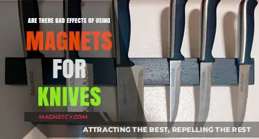 Magnetic Knife Holders: Uncovering Potential Drawbacks for Your Blades