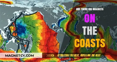 Coastal Magnetic Mysteries: Exploring the Earth's Magnetic Field