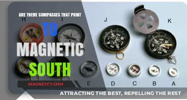 Exploring the Rare: Compasses That Point to Magnetic South