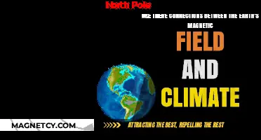 Exploring the Intriguing Link Between Earth's Magnetic Field and Climate