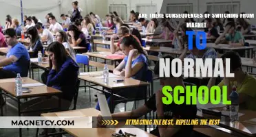 Exploring the Impact: Magnet to Traditional School Transition