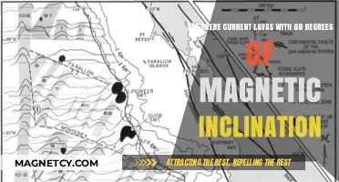 Exploring the Earth's Core: Do Lavas Really Have a 60-Degree Magnetic Tilt?