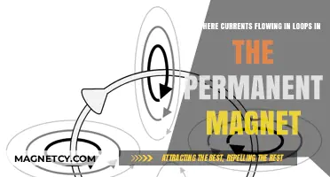 Exploring the Magnetic Loop: Do Currents Flow in Permanent Magnets?