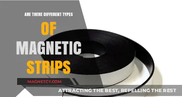 Exploring the Varieties: A Guide to Different Types of Magnetic Strips