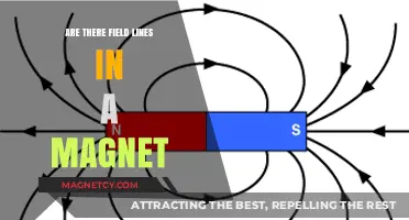 Exploring Magnetism: The Invisible Force of Field Lines