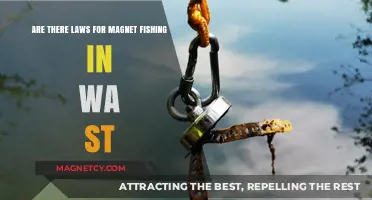 Exploring Magnet Fishing Regulations in Washington State
