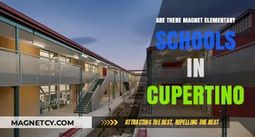 Exploring Cupertino: Are Magnet Elementary Schools Available?