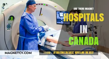 Exploring Magnet Hospitals: Are They Present in Canada's Healthcare System?