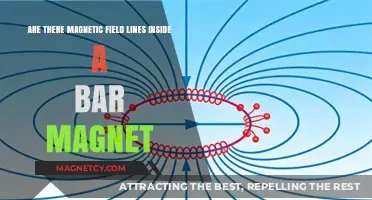 Exploring the Invisible: Do Bar Magnets Harbor Magnetic Field Lines?
